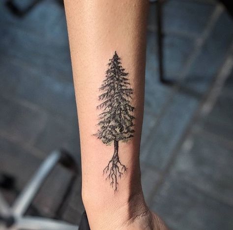 Tree tattoo #tattoo #treetattoo #roots #detailed #tree #wintergreen #wintergreentattoo Ladies Wrist Tattoos, Wrist Tree Tattoo, Tree Tattoo Drawings, Maple Tree Tattoos, Simple Tree Tattoo, Tree Roots Tattoo, Black And White Flower Tattoo, Pine Tattoo, Tree Tattoo Forearm