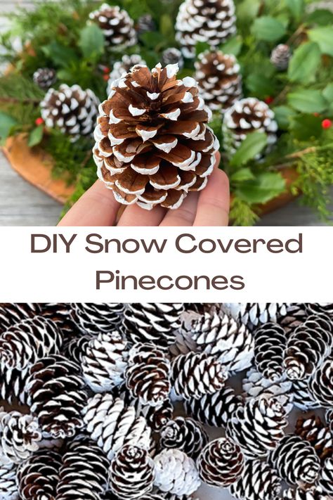 how to make snow covered pinecones Diy Snow Covered Pinecones, White Pinecones Diy, Snow Covered Pinecones, How To Frost Pinecones, Painting Pine Cones Diy, How To Clean Pinecones, Painting Pine Cones For Christmas, Glitter Pinecones Diy, How To Treat Pinecones For Crafts