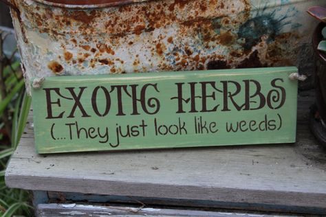 25 super funny Garden signs - A girl and a glue gun Herb Garden Gift, Funny Garden Signs, Herb Garden Pallet, Gardening Humor, Garden Quotes, Decoration Inspiration, Garden Signs, Wooden Garden, Garden Crafts