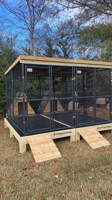 HustleLine Kennels, LLC | This is what sets our kennels apart. Check us out. HustleLineKennels.com #outdoorkennels #outdoordogkennels #outdoordogcages… | Instagram Dog Kennel Designs Outdoor, Under Porch Dog Kennel, Raised Dog Kennel Ideas Outdoor, Dog Set Up Outside, Diy Outdoor Kennel, Homemade Dog Kennel Outdoor, Diy Dog Outdoor Kennel, Raised Dog Kennel Outdoor, Dog Kennel With Run