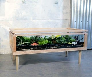 Terrarium Table : 43 Steps (with Pictures) - Instructables Terrarium Coffee Table, Table Terrarium, Diy Terrariums, Terrarium Table, Build A Terrarium, Large Terrarium, Open Terrariums, Fish Tank Terrarium, Small Terrarium