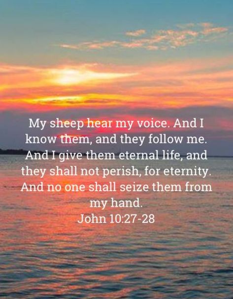 My Sheep Hear My Voice, John 10 27, Gods Quotes, Bybel Verse, Encouraging Scriptures, John 10, Spiritual Religion, Godly Wisdom, God Speaks