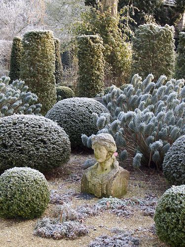 . Topiary Garden, Formal Garden, Gorgeous Gardens, Winter Landscape, Shade Garden, Winter Garden, Dream Garden, Garden Planning, Hedges