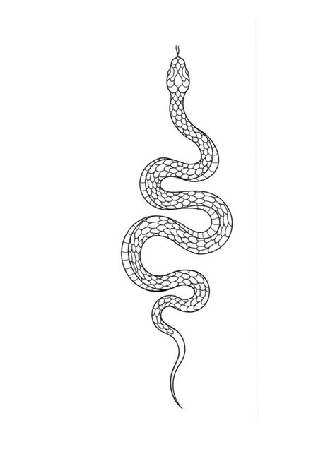 Small Snake Tattoo, Serpent Tattoo, Petit Tattoo, Snake Drawing, Snake Tattoo Design, Summer Tattoo, Tattoo Templates, Medusa Tattoo, Sketch Tattoo Design