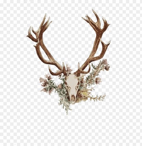 Horn Tattoo Design, Deer Skull With Flowers, Deer Watercolor Painting, Deer Antler Tattoo, Antler Drawing, Antlers And Flowers, Horn Tattoo, Antlers With Flowers, Antler Tattoo