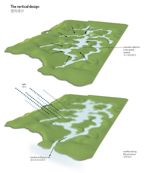 Wetland Landscape Design, Wetland Design, Constructed Wetland, Landscape Plane, Sponge City, Landscape Urbanism, Landscape Diagram, Landscape And Urbanism Architecture, Water Architecture