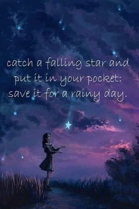 Catch A Falling Star, Hipster Background, Star Light Star Bright, Falling Star, Star Quotes, Just Quotes, Illustration Quotes, Falling Stars, Autumn Quotes