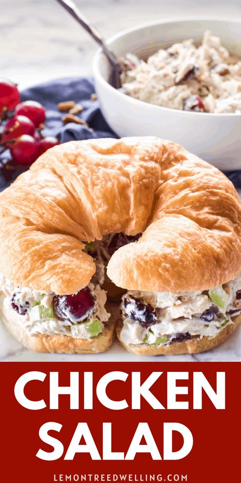 Chicken Salad Sammies, Best Chicken Salad With Grapes, Chicken Salad With Grapes And Cranberries, Chicken Salad Recipe With Mustard, Chicken Salad With Red Grapes, Chicken And Grape Salad Recipe, Grape Pecan Chicken Salad, Chicken Salad Recipe With Grapes Healthy, Napa Valley Chicken Salad Recipe