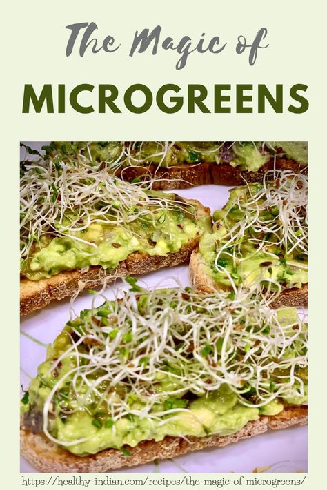 Micro Greens Recipe, Indoor Microgreens, Red Kale, Microgreens Recipe, Gluten Free Diet Recipes, Micro Greens, Growing Microgreens, Nut Free Recipes, Sprout Recipes