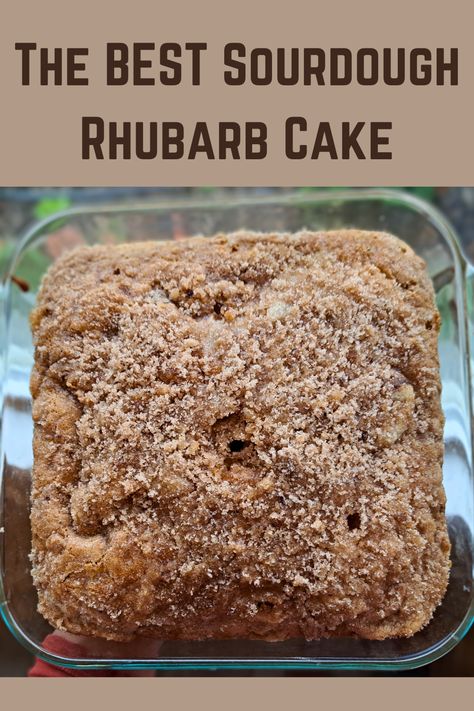 Sourdough Discard Rhubarb Cake, Sourdough Rhubarb Coffee Cake, Sourdough Rhubarb Cake, Rhubarb Sour Dough Recipes, Sour Dough Rhubarb Cake, Strawberry Rhubarb Sourdough Discard, Sourdough Rhubarb Scones, Strawberry Rhubarb Sourdough, Sourdough Discard Rhubarb Recipes