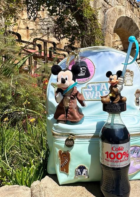 Disney World Vacation Aesthetic, Disneyland Merch, Disneyland Merchandise Aesthetic, Disneyland Souvenirs Aesthetic, Disney World Nostalgia, Disney World Aesthetic, Disney Lifestyle, Disney Souvenirs, Disney Themed Outfits