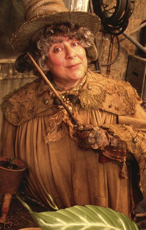 Professor Pomona Sprout (b. 15 May, 1931 or 1941) was a witch who worked as Head of Hufflepuff House and Head of the Herbology department at Hogwarts School of Witchcraft and Wizardry. She attended the school in her youth, where she was Sorted into Hufflepuff House and excelled at Herbology. Sometime after her graduation, Sprout returned to Hogwarts to teach. She took part in the Battle of Hogwarts Professor Sprout, Harry Potter Kostüm, Harry Potter Valentines, Harry Potter Professors, Hogwarts Professors, Film Harry Potter, Harry Potter Wiki, Arthur Weasley, Harry Potter Wall