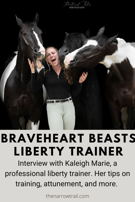 Interview with Kaleigh Marie, a professional liberty trainer. She talks about her start with horses, liberty, and tips for trainers and more. Liberty Training Horses, Liberty Horse Training, Horse Biomechanics, Liberty Horse, Holstein Bull, Training Horses, Horse Owner, Horse Training, Previous Year