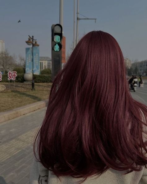 Dark Hair To Brown Hair, Dark Cherry Hair Aesthetic, Cherry Red Hair Straight, Black Cherry Hair Aesthetic, Dark Red Hair Straight, Dark Red Hair Korean, Cool Dark Red Hair, Red Hair Color Aesthetic, Dyed Dark Red Hair