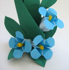 Easy Origami Flower, Origami Flowers Tutorial, Origami Star Box, Origami And Quilling, Origami For Beginners, Origami Dragon, Origami Fish, Origami Love, Origami And Kirigami