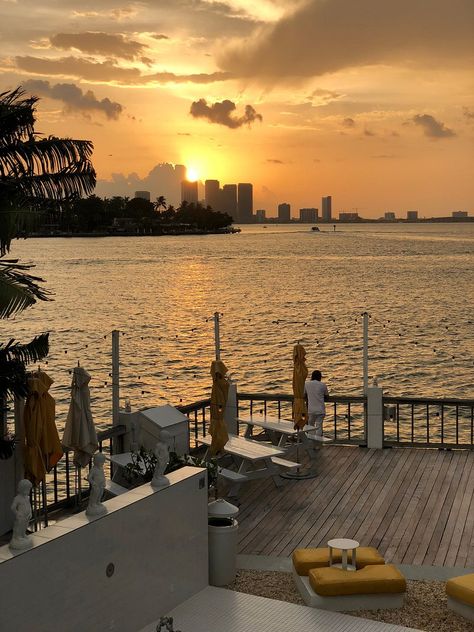 The Standard Miami, Miami Sunset, Miami Hotels, Standard Hotel, Miami Beach Florida, Guest Services, Infinity Pool, Hotel Spa, Travel Inspo