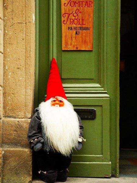 In Swedish folklore, the tomte was a small creature similar to a gnome who occupied a homestead and helped its inhabitants—sort of like a helpful elf. In modern times, he has become a gift-giver as well (and in some cases has merged in appearance with Santa Claus). Children leave out a bowl of porridge for the tomte to thank him for his work throughout the year and get gifts in return. To buy your own tomte to bring home, check out Tomtar & Troll in Gamla stan, Stockholm’s Old Town. Christmas Learning, Holiday Gnomes, Swedish Christmas, Own House, Nordic Christmas, Magical Christmas, Scandinavian Christmas, Christmas Cheer, Christmas Traditions