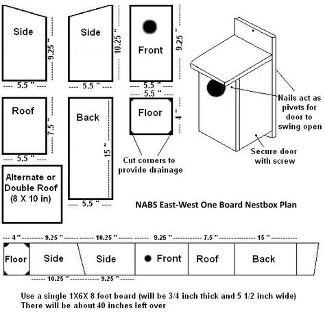 House Plan With Measurements, Bluebird House Plans, Bird House Plans Free, Bluebird House, Bird House Feeder, Wooden Bird Houses, Bird House Plans, Bird House Kits, Bird Aviary