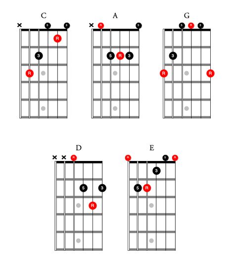 Caged Guitar System, Caged System Guitar, Guitar Cord, Music Theory Guitar, Major Scale, Making Connections, Guitar Tabs, Tool Organization, Guitar Chords