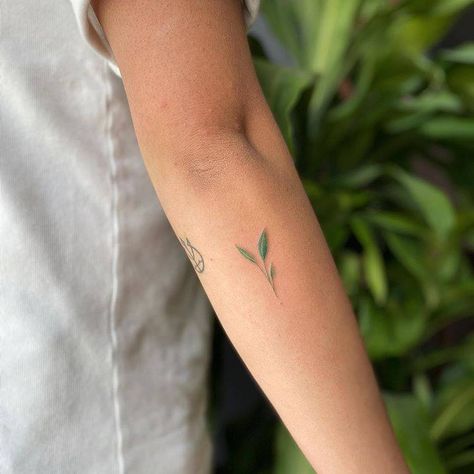 Sprout Tattoo, Roots Tattoo, Small Sister Tattoos, Shamrock Tattoos, Green Tattoos, Magic Runes, Watercolor Nature, Plant Tattoo, Tattoo Project