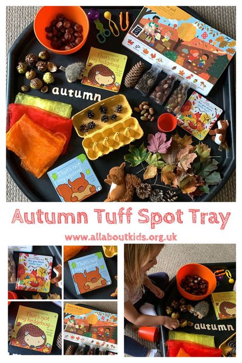 Autumn Tuff Tray Ideas Eyfs, Kids Food Activities, Autumn Eyfs Activities, Autumn Eyfs, Tuff Tray Ideas Toddlers, Tuff Tray Ideas, Hearts Paper Crafts, Tuff Spot, Natural Objects