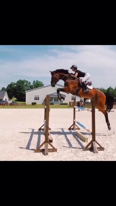 Equestrian Jumping, Home Ideas, Equestrian, Style Inspiration