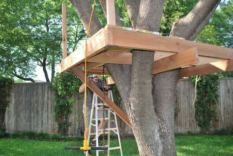 How to build a treehouse Treehouse Construction, Outdoor Forts, Simple Tree House, Building A Treehouse, Tree House Plans, Backyard Trees, Tree Fort, Tree House Diy, Tree House Kids