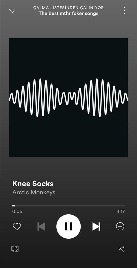 Spotify Screenshot, Dog Pokemon, Monkey 2, Do I Wanna Know, Video Game Anime, Monkey 3, Artic Monkeys, Music Aesthetic, Knee Socks