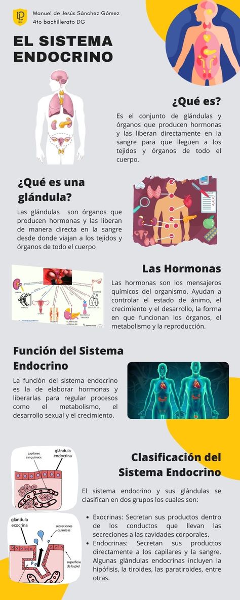 Definición del Sistema Endocrino, definición de Glándula, definición de Hormona, función y clasificación del Sistema Endocrino. Learning Psychology, Studying Medicine, Medicine Notes, Psychology Notes, Medicine Studies, Vet Medicine, Medical Wallpaper, Chemistry Lessons, Medical Careers