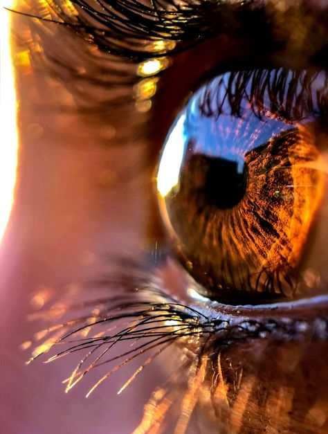 Art Refrences Photography, Pretty Eyes Color, Brown Eyes Aesthetic, Eye Close Up, Eyes Artwork, Eye Pictures, 얼굴 그리기, Photos Of Eyes, Eyes Brown