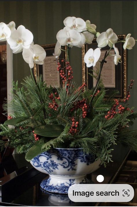 Simon Pearce Christmas Trees Display, Orchid Christmas Centerpiece, Christmas Orchid Arrangements, Poinsettia Arrangement, Round Coffee Table Decor, Kurt Adler Christmas, Poinsettia Centerpiece, Holiday Flower Arrangements, House Of York