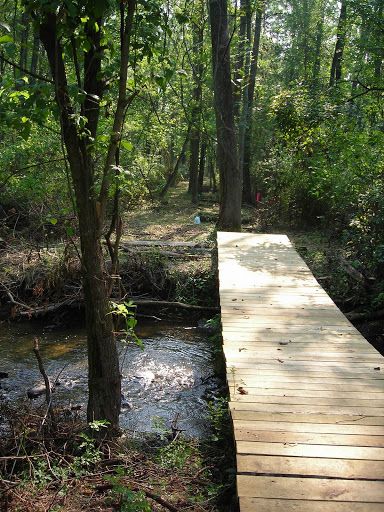 Small Creek Bridge, Walking Bridge Over Creek, Diy Bridge Over Creek, Bridge Over Creek, Yard Bridge, Bridge Diy, Waterfront Deck, Creek Life, Garden Bridge Design