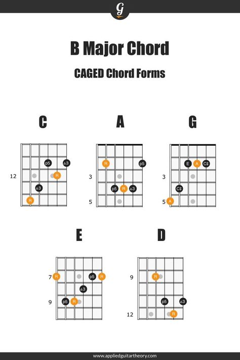 B Major Chord in all 5 CAGED chord shapes A Minor Guitar Chord, Major Chords Guitar, Guitar Scales Charts, Guitar Theory, Guitar Licks, Minor Scale, Music Theory Guitar, B Minor, Guitar Fretboard