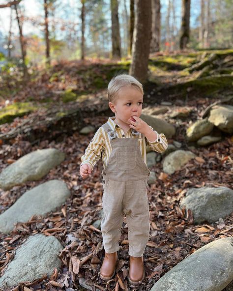 Fall attire is making its way to Brina Bee! 🐝 Bee on the look out for some great fall finds 3M - 8 years! Like if you are ready for cooler weather ❤️ #fall #boutiqueshopping #shoplocally #colorado #coloradoboutiques #shopwomenowned #brinabeeboutique Cord Overalls, Kids Overalls, Fall Attire, Friend Book, Women's Shoes Accessories, Hotel Collection, Kids On The Block, Pajama Bottoms, Spice Girls