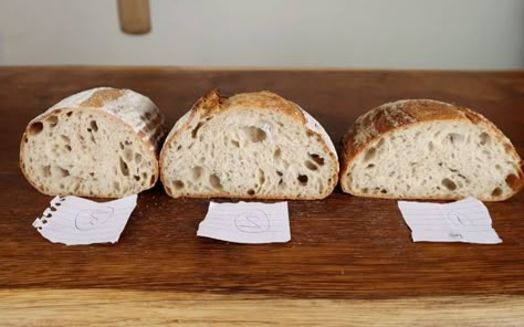 Take A Deep Dive Into Everything To Do With Sourdough Proofing. We'll Discuss; Bulk Fermentation, Science, The Poke Test and Proofing Methods. Sourdough Proofing Guide, Sourdough Proofing, Einkorn Recipes, Easy Bake Oven, Sourdough Starter Recipe, Sourdough Pizza, Sourdough Baking, Food Saver, Starters Recipes