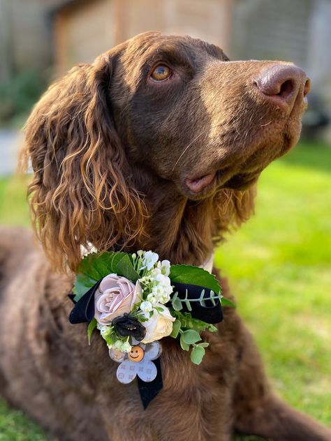 Dog collar corsage,wedding dog wear,collar flowers,dog of honour,collar accent,dog wear,fancy collar pet wear,dog gift,dog gotcha gift Whimsical Hair, Fancy Collar, Smiley Flower, Dog Flower Collar, Dog Cookies, Corsage Wedding, Dog Flower, Dog Wedding, Dog Wear