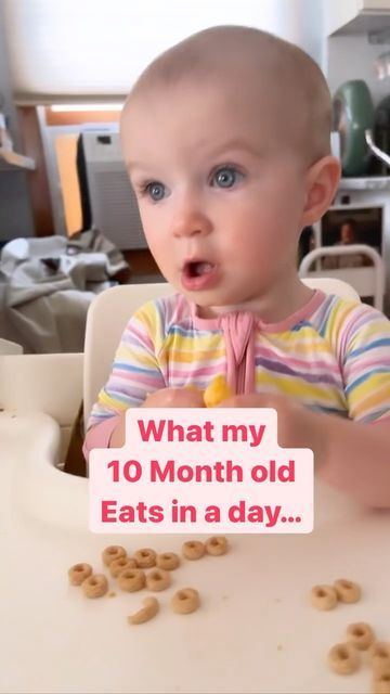 Evelyn Rose on Instagram: "What my 10 month old eats in a day… . Breakfast: strawberries, waffle w/ peanut butter, whole milk strawberry yogurt w/ chia seeds. Ate all the waffles and yogurt, only nibbled at the strawberries. . Lunch: broccoli & cheddar cheese bites (recipe below), teething crackers & hummus. Ate 1 teething cracker, 2 broccoli bites, and all the hummus on the side! . She finally learned to drink from a straw cup! We have tried so many and this one from @kangookid is our current Breakfast 10 Month Old Baby, 10 Month Old Breakfast, 10 Month Old Snacks, Snacks For 10 Month Old Baby, Lunch For 10 Month Old, Breakfast For 9 Month Old, 12 Month Old Snacks, Breakfast For 10 Month Old, Baby Snacks 9 Months