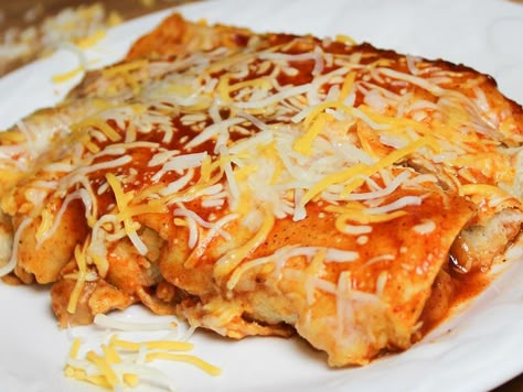 Refried Bean and Cheese Enchiladas Cheese Enchilada Casserole, Bean And Cheese Enchiladas, Refried Bean, Refried Beans Recipe, Vegetarian Enchiladas, Easy Enchiladas, Banana Bread Recipe Moist, Cheese Enchiladas, Enchilada Casserole