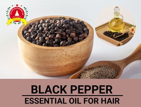 Black Pepper Essential Oil for Hair | Benefits of Black Pepper Oil How To Make Black Pepper Essential Oil, Benefits Of Black Pepper, Pepper Benefits, Essential Oil For Hair, Oils For Dandruff, Black Pepper Essential Oil, Black Pepper Oil, Floral Essential Oils, Homemade Oil