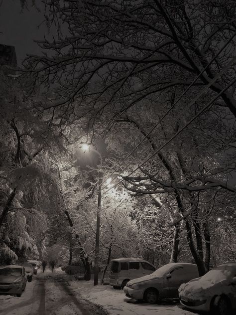 Snow Night, Snowy Weather, Dark Christmas, Dark Nature Aesthetic, Winter Walk, Winter Scenery, Winter Beauty, Cinematic Photography, Winter Night