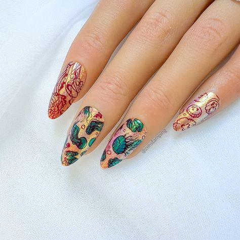 Jellyfish Sunset 🪼 (sp) Here’s another look using plate #maniologym486 (gifted). I hope you have a wonderful day! Discount code: ZEN10 #maniology #maniologysponsored #maniologyapproved #nailsnailsnails #nailstampingplates #nailstamping #nailart #nails2inspire #nailstamps #stampingnailart #stampingnails #artdongle #stampingaddict #nailporn #artonnails #prettynails #jellyfishnails #summernails #beachnails #nailtrends Jellyfish Nail Art, Jellyfish Species, Jellyfish Design, Star Sprinkles, G Nails, Mesmerizing Beauty, Nail Stamping Plates, Stamping Nail Art, Nail Art Kit