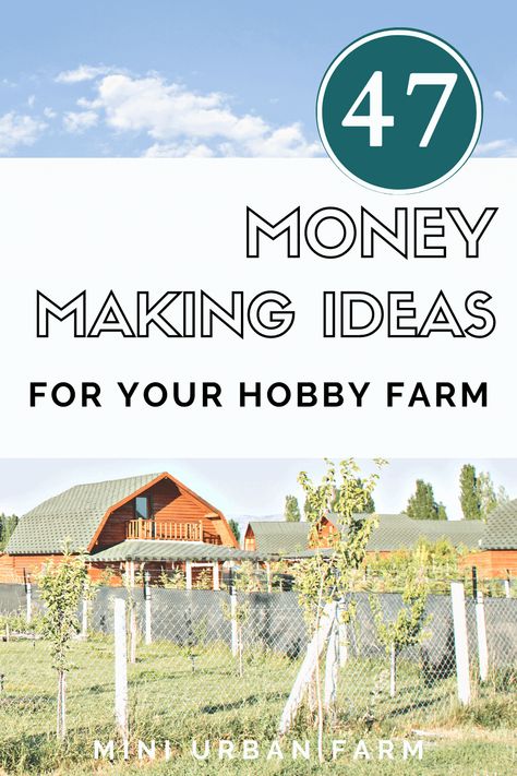 #hobbyfarm #backyardfarm #urbanhomestead 47 Ways to Make Money With A Backyard Farm - Check out these surprising ways to make money from your hobby farm which will help you earn an income from your home! Urban Homesteading - Mini Urban Farm Hobby Farm Equipment, Profitable Hobby Farm, Farm Side Hustles, Farm Workshop Ideas, Homesteading In Town, Farm Events Ideas, Farm Business Ideas, Agritourism Ideas Farms, Hobby Farm Aesthetic