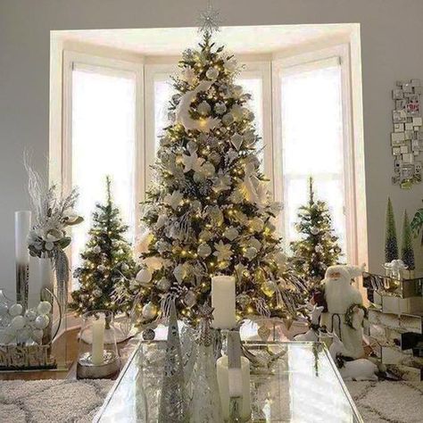 Multiple Holiday Tree Arrangements, Modern Christmas Decor Trends 3 Christmas Trees Together, Multiple Christmas Trees, 3 Christmas Trees, Christmas Decor Trends, Christmas Tree Images, Christmas Lights Garland, Christmas Background Images, Silver Christmas Decorations, Holiday Trees