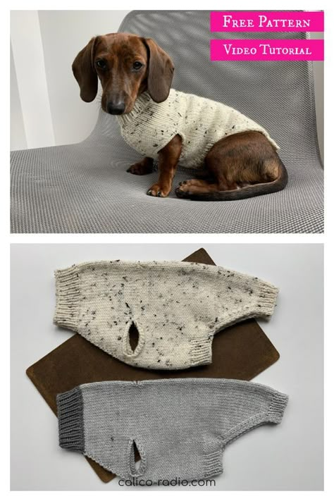 Seamless Dog Sweater Free Knitting Pattern and Video Tutorial Dog Jumper Knitting Pattern, Knitting Patterns For Dogs, Sweater Free Knitting Pattern, Knitted Dog Sweater Pattern, Knitting Patterns Free Dog, Dog Coat Pattern, Dog Sweater Crochet Pattern, Dog Sweater Pattern, Pet Sweaters