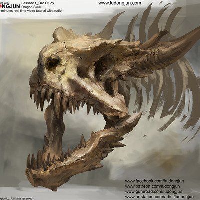 ArtStation - Real Human Skull Low-poly 3D model, Andrey Berezin How To Draw Animal Skulls Step By Step, Scar Ideas, Animal Skull Drawing, Zodiac Dragons, Bone Dragon, Knight Statue, Dragon Reference, Dragon Skeleton, Dragon Anatomy