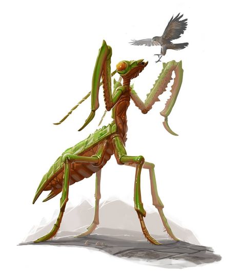 Giant praying mantis for Legendary Games by MichaelJaecks Fallout Rpg, Swamp Creature, Ark Survival Evolved, Fantasy Beasts, Praying Mantis, Interior Illustration, Monster Concept Art, Dungeons And Dragons Characters, Mythical Creatures Art