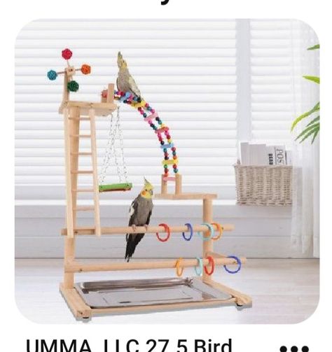 Bird Play Gym Diy, Bird Play Gym, Homemade Bird Toys, Cockatiel Care, Toy Tray, Diy Bird Toys, Budgie Toys, Door Design Images, Bird Aviary