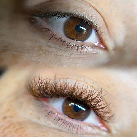 Trendy Lash Extensions, Brown Eyelash Extensions Lashes, Wispy Brown Eyelash Extensions, Brown False Lashes, Brown Eye Lashes Extensions, Brown Eyelash Extensions Natural, Dark Brown Eyelash Extensions, Brown Eyelashes Extensions, Dark Brown Lash Extensions