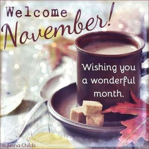 Welcome November Wishing you a wonderful spell good morning november hello november november quotes welcome november goodbye october Hallo November, November Pictures, November Images, Neuer Monat, Welcome November, November Quotes, November Wallpaper, November Calendar, Sweet November