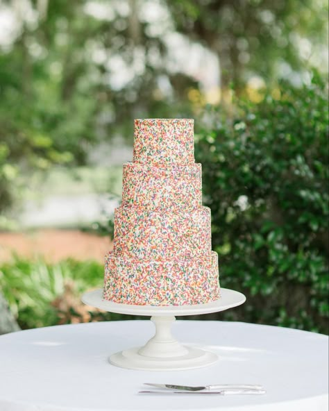 Our wedding cake was covered entirely in rainbow sprinkles and the inside was funfetti! Such a fun touch! Rainbow Sprinkle Wedding Cake, Wedding Cake Sprinkles, Wedding Cake With Sprinkles, Confetti Wedding Cake, Funfetti Wedding Cake, Wedding Cake Funfetti, Sprinkle Wedding Cakes, Neverland Wedding, Sprinkle Cakes